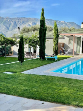 Pool Guesthouse